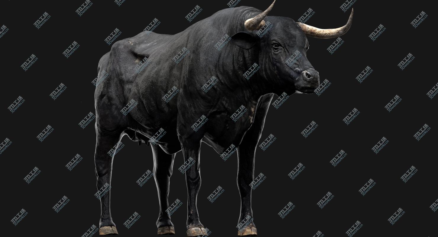 images/goods_img/20210319/Bull Cow (NoFur) (Rigged) 3D/2.jpg